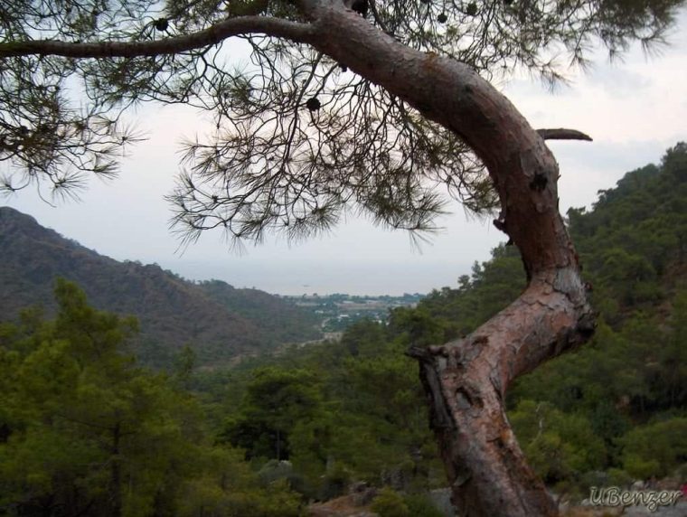 Yanartaş'tan Çıralı Manzarası