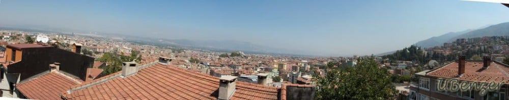 Bursa