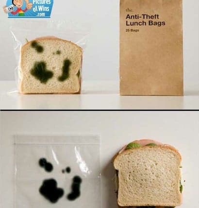 anti theft lunch bags